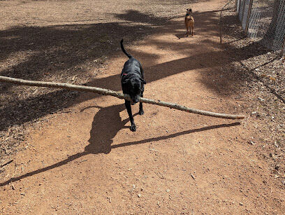Rothschild Dog Park