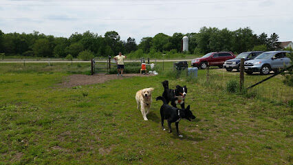 Spring Green Dog Park