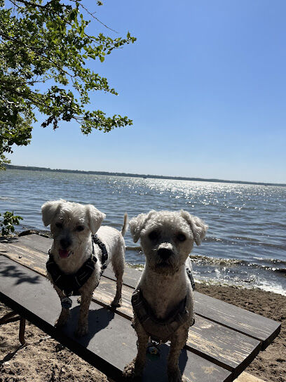 Lake Kegonsa State Park Dog Beach