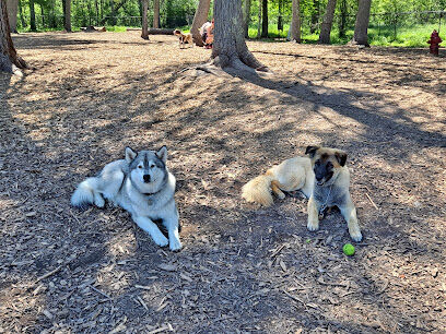 Superior Dog Park
