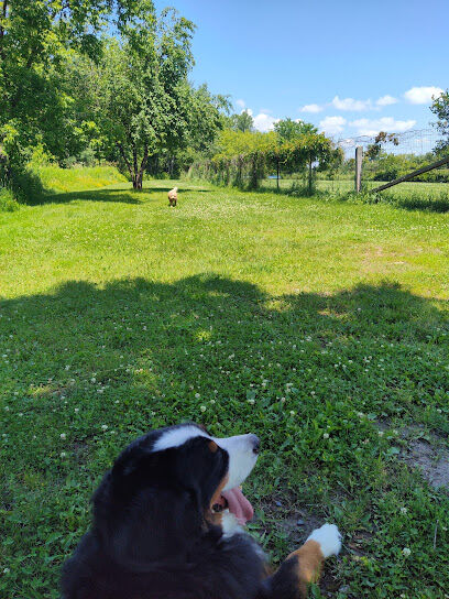 Tucker James Memorial Dog Park
