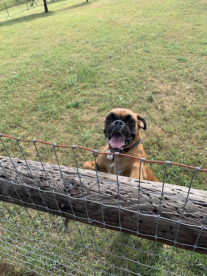 Three Lakes Dog Park