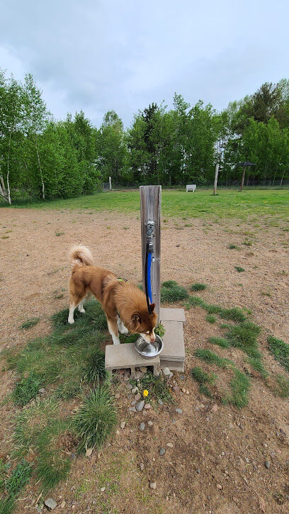 Tomahawk Dog Park