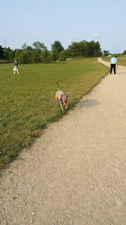 Badger Prairie Dog Park