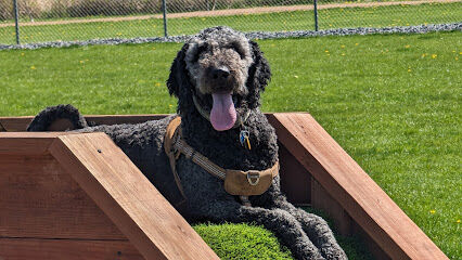 Vesper Public Dog Park