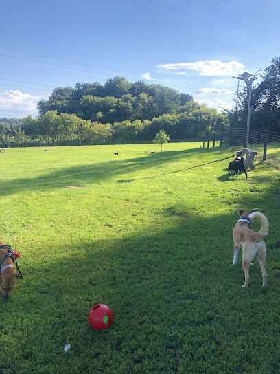 Viroqua Bark Park