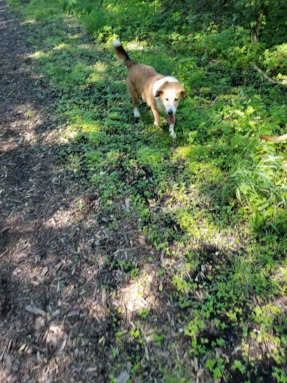 Mac Arthur Dog Run