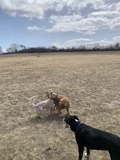 MRD Dog Exercise Area