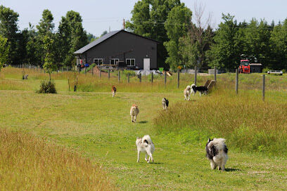 Tails & Trails Off-Leash Dog Park