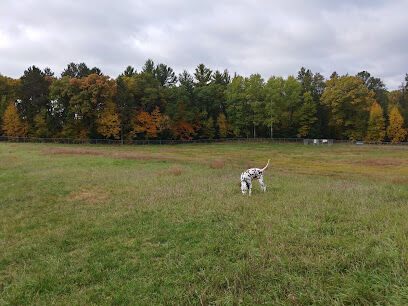 Webster Community Dog Park