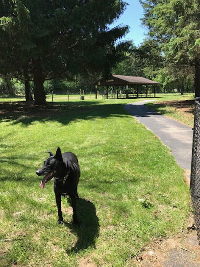 Sandy Paws Dog Park