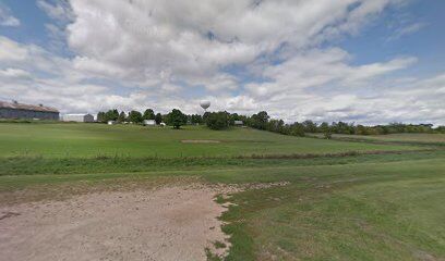 Dog Park