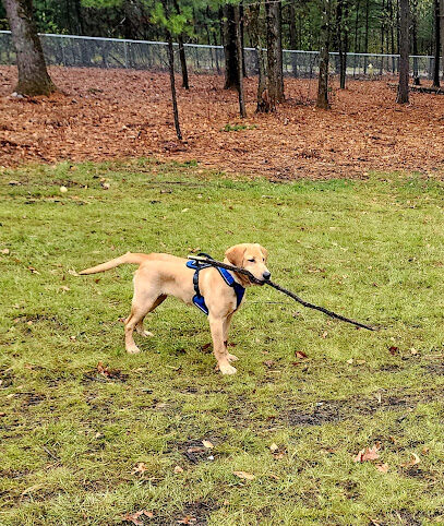 Rapids Room to Zoom Dog Park