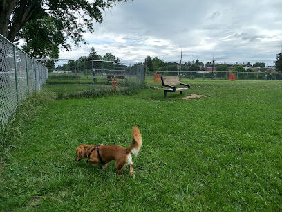 Buckhannon Dog Park