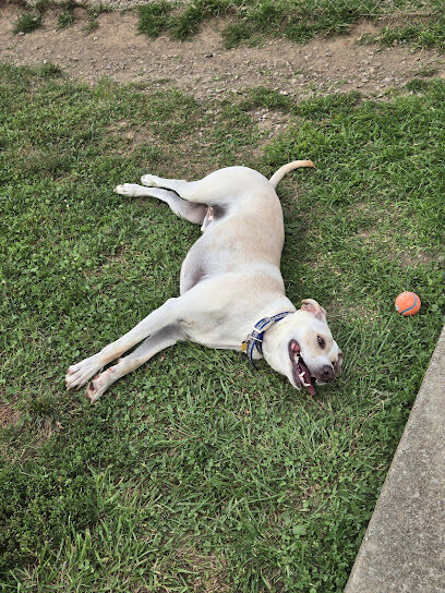 Clarksburg Dog Park