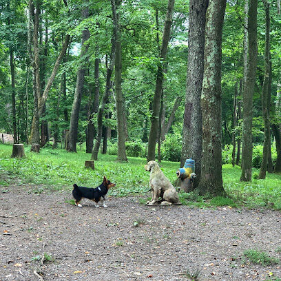FIDO's Backyard