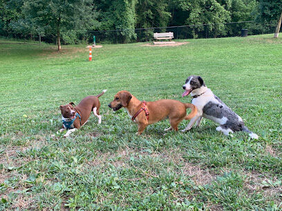 Huntington PetSafe Dog Park