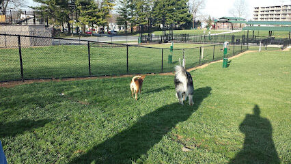 Ambrose Park