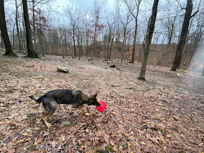 Krepps Dog Park