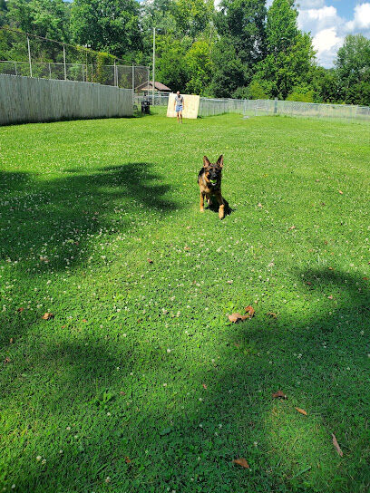 Ronceverte Dog Park