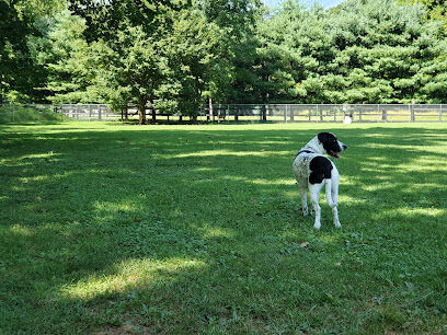 Park for Big Dogs@ Jackson Park
