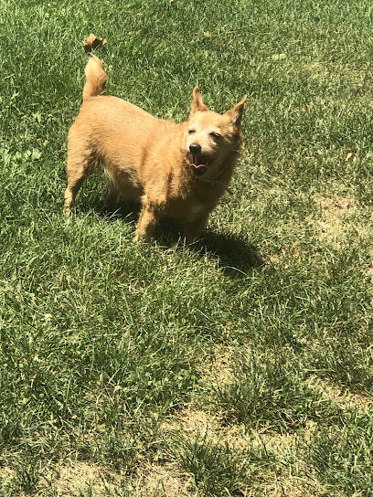 Fitzsimmons Family Garden Park Dog Park
