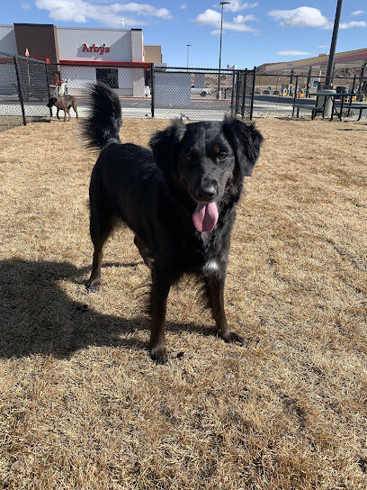 Dog Park at Love's Travel Stops