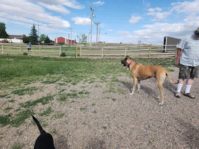 Dog Park at the Animal Shelter