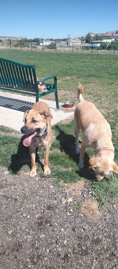 Dog Park