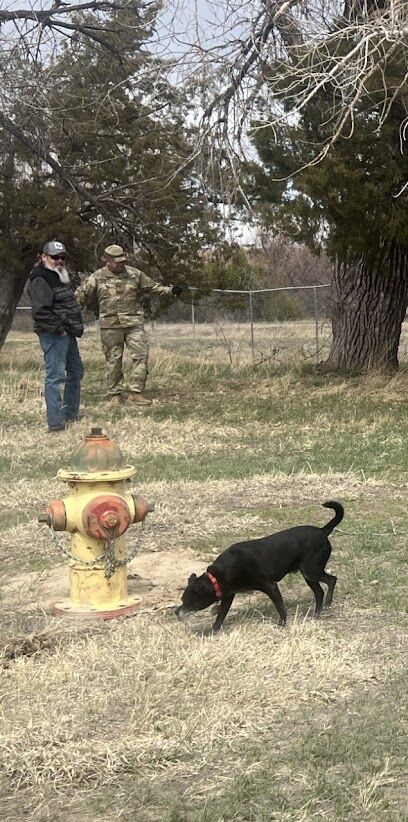 Watch Dog Park