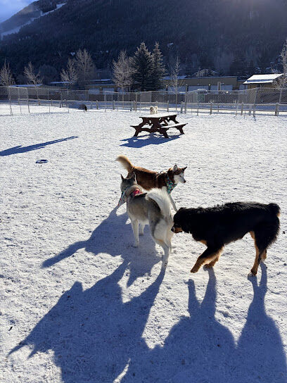 Temporary Dog Park