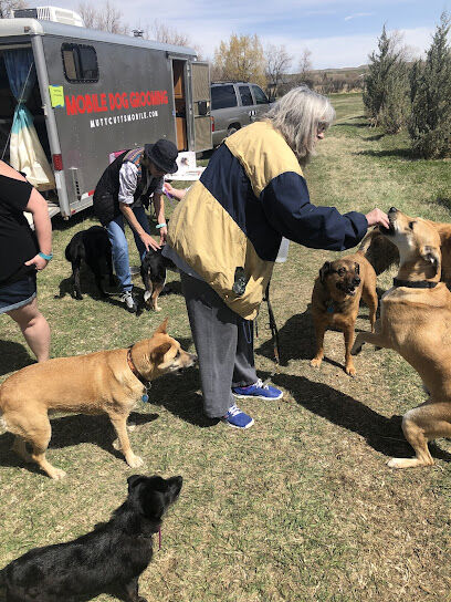 Lander Dog Park