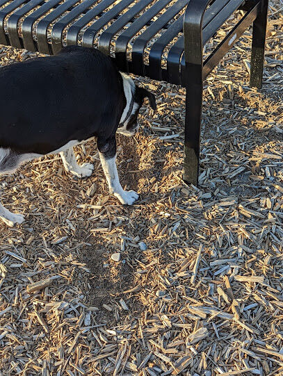 Dacey's Place Dog Park